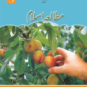 Mutala E Islam Book 3 (Sun Series)