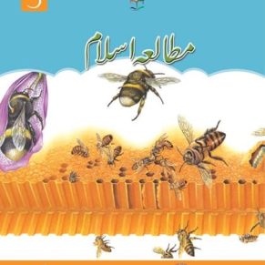 Mutala E Islam Book 5 (Sun Series)