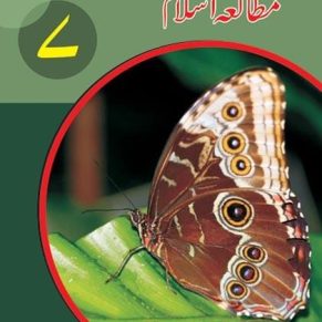 Mutala E Islam Book 7 (Iqbal Series)