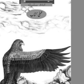 SHAHEEN (JUGNOO) AMLI - 5