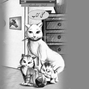 SHAREER MANI (JUGNOO) AMLI - 1