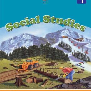 SOCIAL STUDIES BOOK (SUN SERIES) - 4